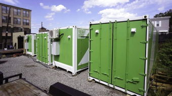 在廚房里種上菜,想吃就薅一點(diǎn),想想就很開(kāi)心