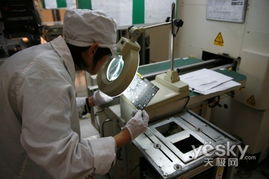 本土品牌全球化 七彩虹成立德國分公司