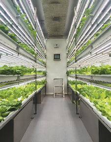 海外農產品來華 圈粉