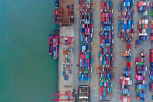 麓谷居民,這個重磅官宣之后,未來你的生活將有這些新變化