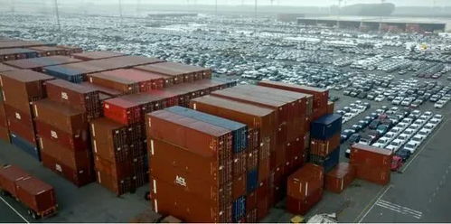 8種農產品等待中國審批 越南即將新建中轉站,以擴大對華出口