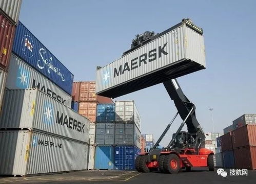 中國成全球最大的冷藏集裝箱進口國,國務院嚴控進口冷鏈食品風險